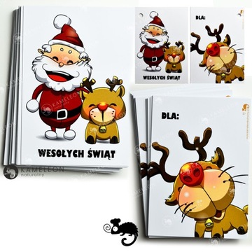 BILECIK ZAWIESZKA PRZYWIESZKA ETYKIETA DO PREZENTU ŚWIĘTA MIX WZORÓW 25szt