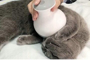 МАССАЖЕР ГОЛОВЫ ДЛЯ КОШКИ, ЭЛЕКТРИЧЕСКИЙ, USB-ИГРУШКА ДЛЯ КОШКИ