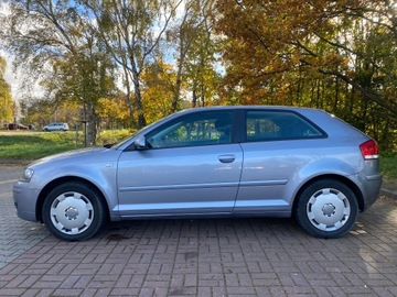 Audi A3 8P Hatchback 3d 1.6 102KM 2007 Audi A3 Attraction 1.6 Benzyna, zdjęcie 2