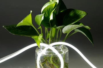 Светодиодная лента НЕОНОВАЯ ЛЕНТА 230В 1м ГИБКАЯ IP68 Холодная