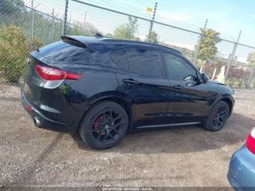 Alfa Romeo Stelvio SUV Facelifting 2.0 Turbo 280KM 2021 Alfa Romeo Stelvio Ti 2021 2.0l 2.0 Benzyna 280KM, zdjęcie 6