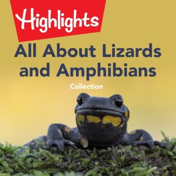 All About Lizards and Amphibians Collection (2021)
