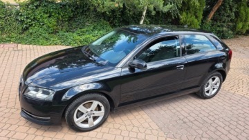 Audi A3 8P Hatchback 3d 1.6 TDI 90KM 2011 AUDI A3 1.6 TDI AMBITION 2011 KLIMATRONIK ALU SUPER STAN! FAKTURA MARŻA!, zdjęcie 6