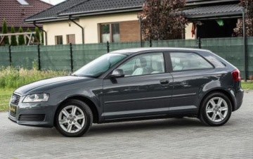 Audi A3 8P Hatchback 3d 1.6 TDI 105KM 2010 Audi A3 3-drzwiowe 1.6TDI 105KM DsG Skora Climatron Alu Po Serwisie Gwaran, zdjęcie 6