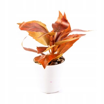 SZTUCZNY KWIAT LIŚCIASTA ROŚLINA 18CM RÓŻNE KOLORY