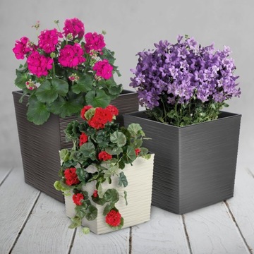 DONICZKA DONICA OSŁONKA Z WKŁADEM KOLORY 30cm