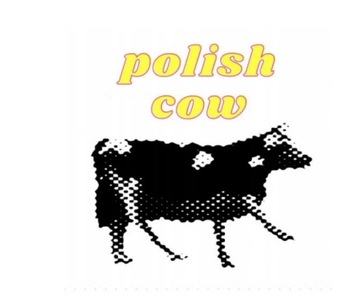 Tańczący Kaktus Do Biały Węgorz