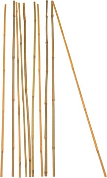 Podpórki roślinne wykonane z bambusa - opakowanie 20 sztuk o długości 50 cm