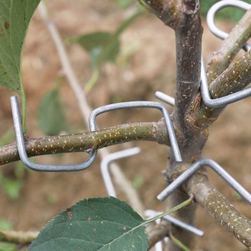 Urządzenie do kształtowania gałęzi drzew owocowych Rozsiewacz roślin 28 szt