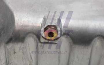 FAST FT49313 VANA OLEJ