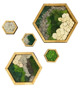 Mech Chrobotek Obraz z MCHU I DREWNA Dekoracja Zestaw