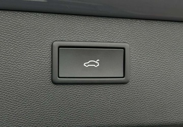 Cupra Formentor Crossover Facelifting 2.0 TSI 333KM 2025 Cupra Formentor VZ Pakiety, 4x4, Hak, Kamera 360, DCC, SENNHEISER, ACC, L, zdjęcie 10