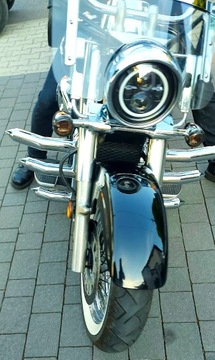 Gmole 3 zeby husaria SUZUKI vl 800 volusia c50
