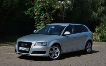 Audi 2009 Audi A3 Sportback GWARANCJA,1.9 TDI, 2 Komplety kol, Dobre wyposazenie, La