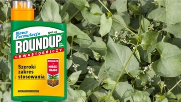 ROUNDUP FLEX RANDAP ДЛЯ СОРНЯКОВ глифосатный гербицид концентрат 1л