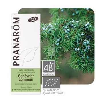 BIO olejek eteryczny JAŁOWCOWY Jałowiec Juniperus communis var. alpina 5 ml