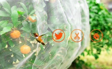 ЗАЩИТНАЯ СЕТКА ОТ НАСЕКОМЫХ ДЛЯ ЗАЩИТЫ ГРУБКИ Brassicas 3х15 м