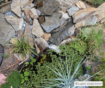 Kamień skalniakowy, łupek na skalniak, bryły, skalniak, kamień do ogrodu