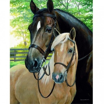 Haft diamentowy mozaika obraz Diamond Painting 30x40 cm KONIE KOŃ ŹREBIĘ