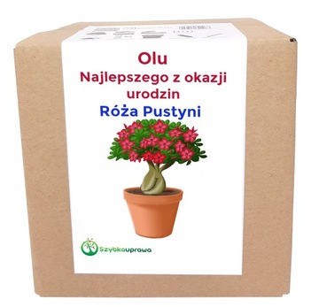 Ekologiczny prezent zestaw uprawowy urodziny Ola