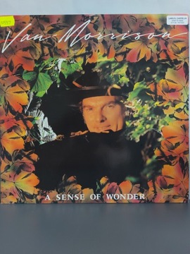 Van Morrison – A Sense Of Wonder 1984