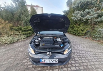 Volkswagen Golf VII Hatchback 3d 1.6 TDI-CR DPF 105KM 2013 Volkswagen Golf Volkswagen Golf 1.6 TDI BlueMotion Technology DSG Comfortl, zdjęcie 6