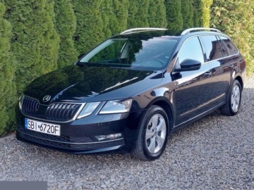 Skoda Octavia III Kombi Facelifting 2.0 TDI 150KM 2019 Skoda Octavia 2.0 TDI DSG Style 150KM 2019r Bezwypadkowy!, zdjęcie 3