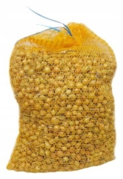 Cebula Dymka Zimowa Zimująca Senshyu Yellow 10kg