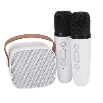 2x МИКРОФОН + БЕСПРОВОДНОЙ СВЕТОДИОДНЫЙ ДИНАМИК ДЛЯ КАРАОКЕ, НАБОР BLUETOOTH, БЕЛЫЙ