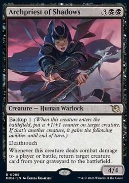 Karta Magic: The Gathering Archpriest of Shadows B WIZARDS OF THE COAST