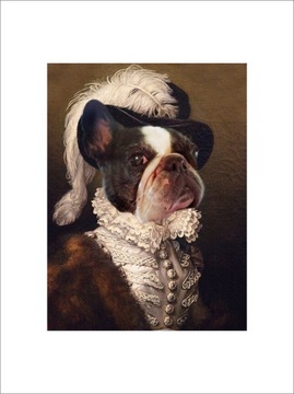 PLAKAT BEZ RAMY 30x40cm portret psa buldog francuski sztuka król książe