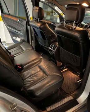 Mercedes Klasa GL X164 2008 Mercedes-Benz GL Mercedes-Benz GL 350 CDI DPF 4Matic BlueEFFICIENCY 7G-TRO, zdjęcie 19