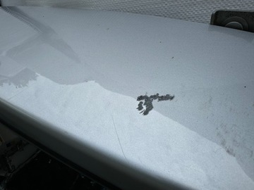 Задняя крышка багажника в сборе RENAULT MEGANE III KOMBI