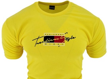 ФУТБОЛКА МУЖСКАЯ С EZD GLORY L