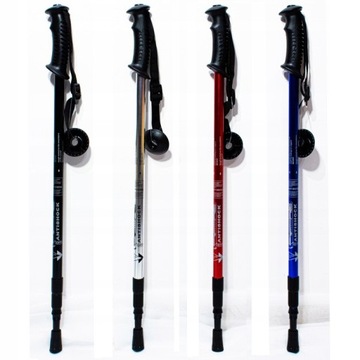 KIJKI DO CHODZENIA NORDIC WALKING TREKKING 135 cm
