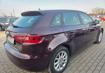 Audi A3 8V Cabriolet 2.0 TDI clean diesel 150KM 2015 Audi A3 Sportback 2.0TDI 150KM 6Bieg Led Navi 2xPDC BluetoothFulserwis Aud, zdjęcie 4