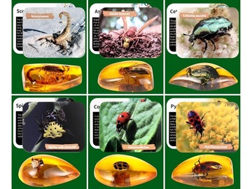 НАБОР ИСКОПАЕМОГО ЯНТАРЯ НАСЕКОМЫХ АРХЕОЛОГИЧЕСКИЙ ЯНТАРНЫЙ НАБОР