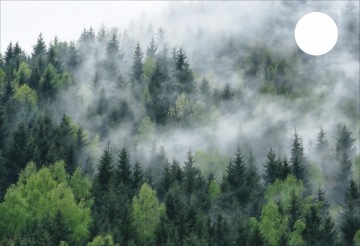 MATA ANTYPOŚLIZGOWA na biurko MICKE 73x50 LAS MGŁA