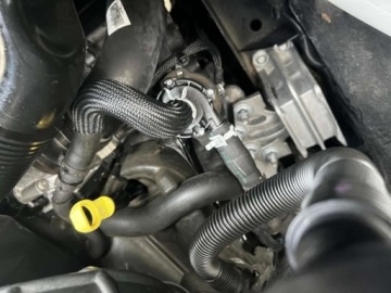 Ford Tourneo Custom I 2021 Ford Tourneo Custom Turneo Custom Tytanium X specjalistyczny dla Inwalidow, zdjęcie 28