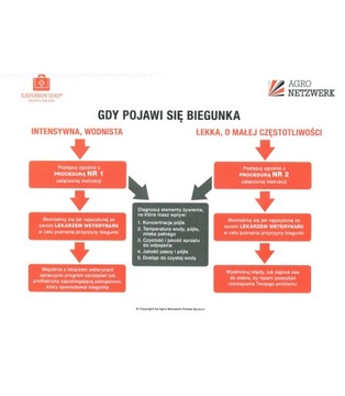 От диареи у телят «SAVE THE CALF-SAVOBOVIDO»