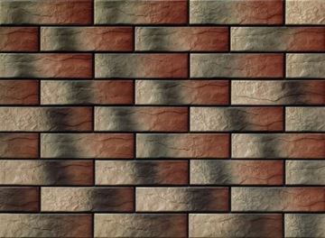 WESTERN ELEVATION ALASKA RUSTICO настенно-фасадная плитка