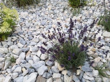 Лазурная крупка Марианна Лазурная 16-32 тонны с доставкой