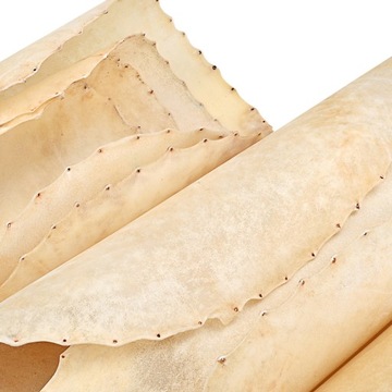 ДУМБЕКСКИЙ БАРАБАН ДЕТАЛЬ ИЗ КОЗЬЕЙ ШКУРЫ