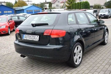 Audi A3 8P Hatchback 3d 2.0 TDI PD 140KM 2004 Audi A3 2.0 TDI , Sportback, Sprowadzony, Jasn..., zdjęcie 8