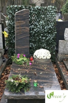 Boxwood для могильной украшения TOMBSTON - искусственная хеджирование на протяжении многих лет Matt 50x50