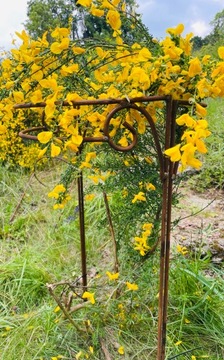 Стильная опора для растений, цветочных кустов, ПЕРГОЛА, сплошная, 40/60 см, 2 шт.