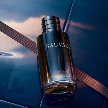 SAUVACE SELVACE SAVAGE МУЖСКИЕ ДУХИ 100мл