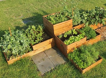 Гербарий, ящик, сад, огород, теплица