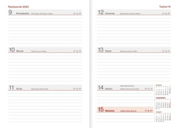Календарь учителя А5 НЕБРАСКА 2024/2025 еженедельник ХИТ ГРАВИРОВКА ШОКОЛАД
