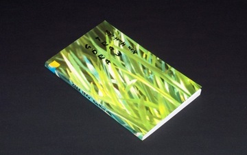 Гора травы - подбородок Нань Хуай